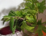 Foto del paso 2 de la receta: Salsa de yogur al estilo búlgaro