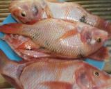 Foto langkah ke 1 dari resep Nila kuah asam pedas.