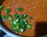 A picture of step 9 of Aalo Timatar.
