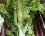 Foto del paso 1 de la receta: Ensalada Natural. 😍