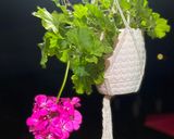 عکس مرحله 4 از دستور پيده جيگر