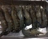 รูปขั้นตอนการทำที่ 1 ของ กุ้งอบเนย