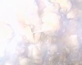 A picture of step 5 of Murgh chana😍مرغ چنہ 😋.