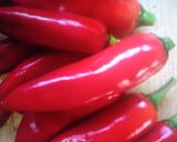 આથેલા લાલ મરચાં(Pickle Red Marcha Recipe in Gujarati) રેસીપી સ્ટેપ1ફોટો