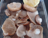 Foto del paso 3 de la receta: Setas de cardo al minuto 🍄