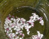 Foto del paso 4 de la receta: Xhobetá