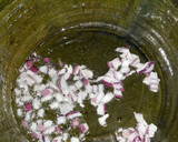 Foto del paso 4 de la receta: Xhobetá