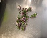 Une image de l'étape 5 de Feuille de chêne aux tomates coeur de bœuf, burrata et fleurs de basilic.