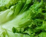 Hình bước làm 1 của món Salad rau quả