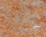 A picture of step 1 of Chapri (Rice Lentil Spicy Pancake).