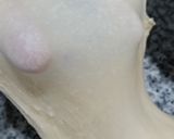 Foto del paso 7 de la receta: Ensaimada v4 (con masa madre) y rellena de crema pastelera
