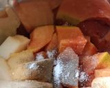 A picture of step 2 of Papaya melon juice.