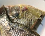 Foto langkah ke 1 dari resep IKAN PANGGANG TEFLON MUDAH BANGET - Menu MPASI 23 bulan++ #resepMpasiSena.