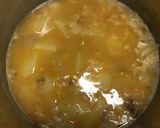 Foto del paso 3 de la receta: Habichuelas guisadas en agrura