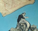 Foto del paso 2 de la receta: Bonito en dos cocciones