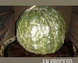 Foto del paso 1 de la receta: 🧀Fondue de Cabutia con Salchichas parrilleras