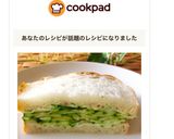 A picture of step 12 of Sliced Cucumber Sandwich.