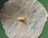 Foto langkah ke 4 dari resep Roti Prata/ Roti Maryam.