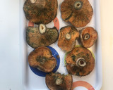 Foto del paso 1 de la receta: Robellones a la plancha (también llamados setas de pino o níscalos)