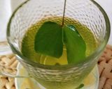 Foto del paso 5 de la receta: Infusión de hojas de pezuña de buey, (o pezuña de vaca)