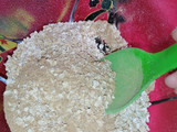 Pan de avena para un rico desayuno
