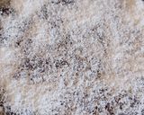 Foto del paso 7 de la receta: Torta Lamington
