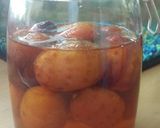 A picture of step 4 of Vickys Plum Gin.
