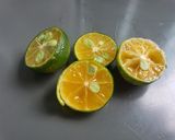 Hình bước làm 2 của món Trà hoa đậu biếc hạt chia