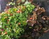 Gambar langkah 5 resipi Wood Ear Mushroom Salad.