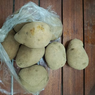 Langkah 1