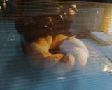 Foto del paso 6 de la receta Rosca de yema