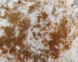 A picture of step 5 of Infused Kofta.