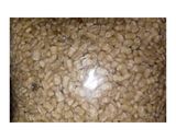 Foto del paso 1 de la receta: Nicuatole