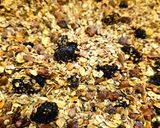 Foto del paso 5 de la receta: Granola casera sin azúcar