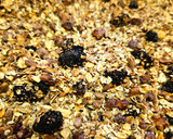 Foto del paso 5 de la receta: Granola casera sin azúcar