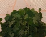 Foto langkah ke 1 dari resep Sayur kelor sweeger.