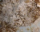 Foto langkah ke 3 dari resep Ayam Geprek Oatmeal: Enak & Sehat.