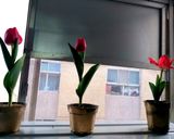 عکس مرحله 1 از دستور عیدتون مبارک