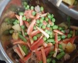 इंस्टेंट कुकर वेज बिरयानी (instant cooker veg biryani recipe in Hindi) रेसिपी चरण 2 फोटो