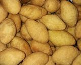 Foto langkah ke 7 dari resep Pelok khas magelang kue lebaran sederhana.