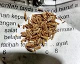 Foto langkah ke 2 dari resep Soto ceker.