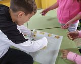 Foto del paso 4 de la receta: Galletas de mantequilla con pepitas de chocolate