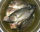 Foto langkah ke 2 dari resep Ikan bakar nila sederhana.