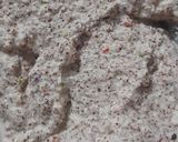 A picture of step 6 of Whole Ragi Masala Appe.