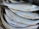 Homemade Sarden ikan Bandeng
