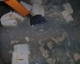 Foto del paso 1 de la receta: Pan casero fácil