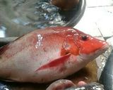 Foto langkah ke 1 dari resep Beberok kakap merah.