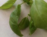 Bazsalikomos paradicsom leves, pirított risini tésztával recept fázis 3 fotója