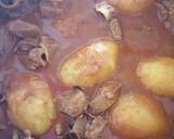 A picture of step 9 of Turkey curry.