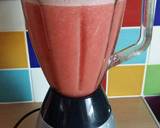 Vickys Watermelon Cooler, GF DF EF SF NF recipe step 2 photo